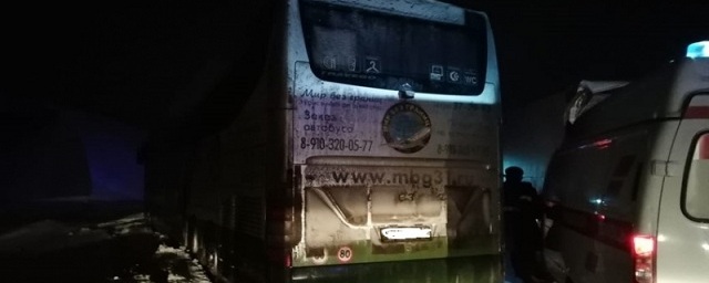 В Тульской области в ДТП с автобусом пострадали семь человек
